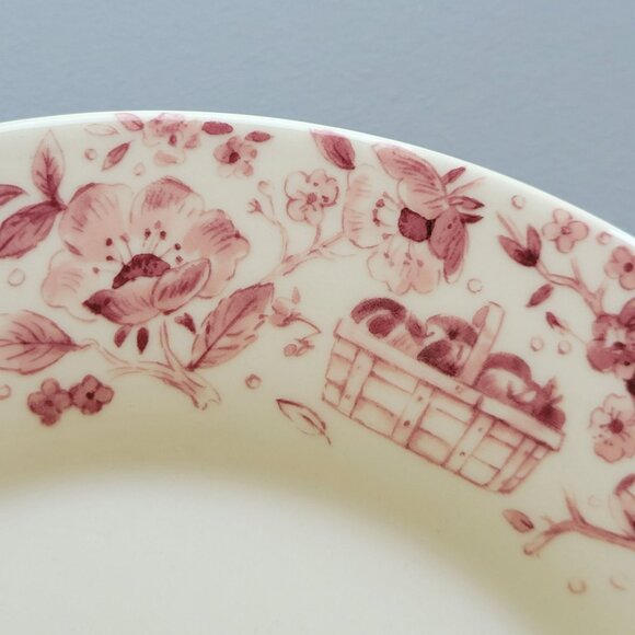 Pfaltzgraff Delicious Dinner Plate Red Apples & Floral Fall Autumn Farmhouse - Picture 4 of 11